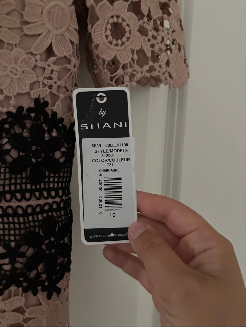 NWT SHANI Colorblock Lace Sheath Dress Champagne 10